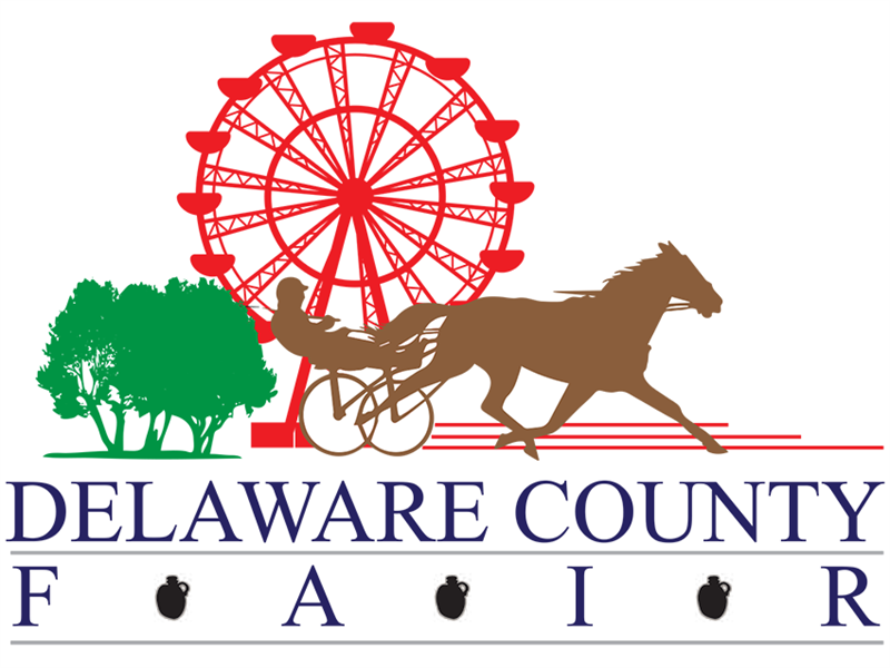 Logo for 2025 Delaware County Junior Fair