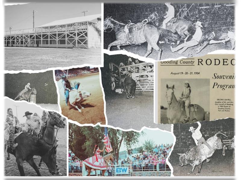 Logo for 2025 Gooding County Fair