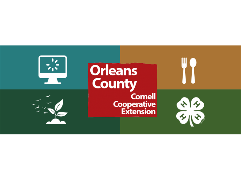Logo for 2026 OC 4-H Fair