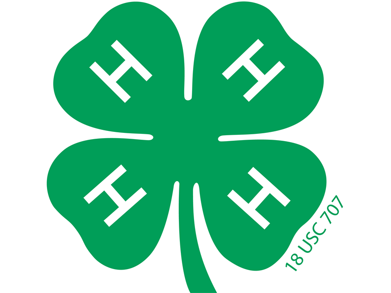 Logo for 2026 Adams County Fair
