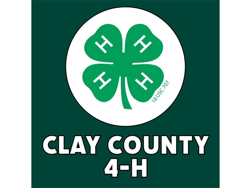 Logo for 2026 Clay County Fair